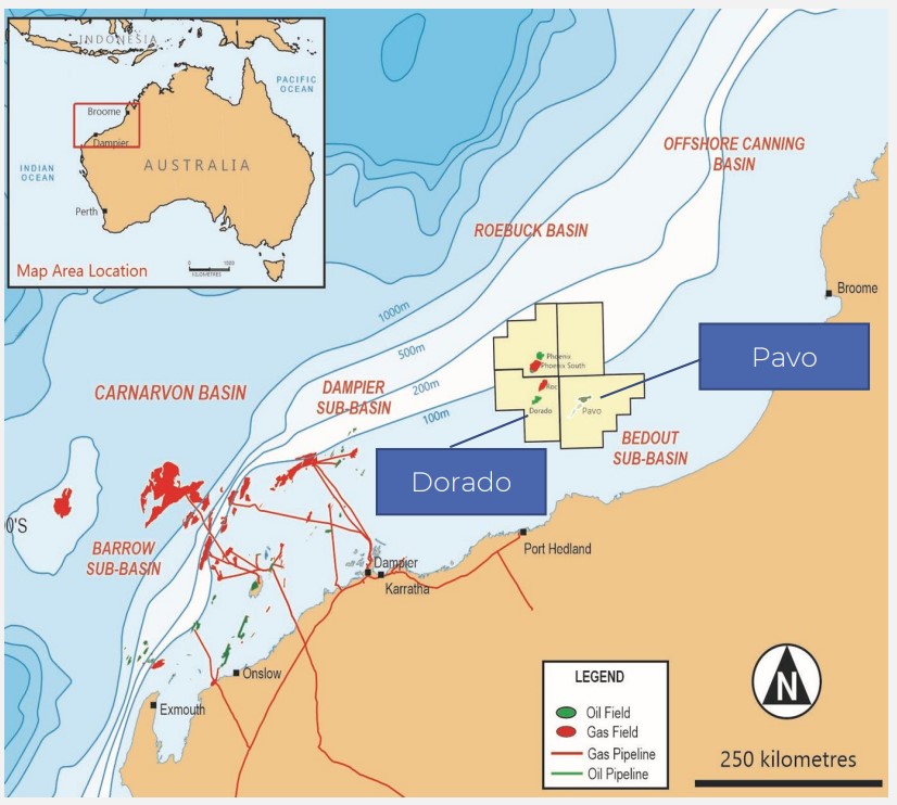 Carnarvon Energy advances studies to integrate Pavo oil field into proposed Dorado production